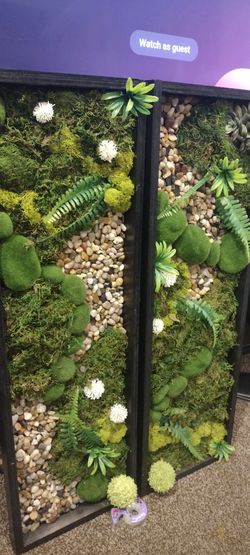 Custom Moss Frames Decor