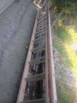 Ladder