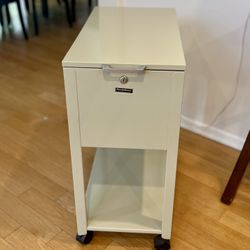📁 ROLLING FILE CABINET/CART (make me an offer)
