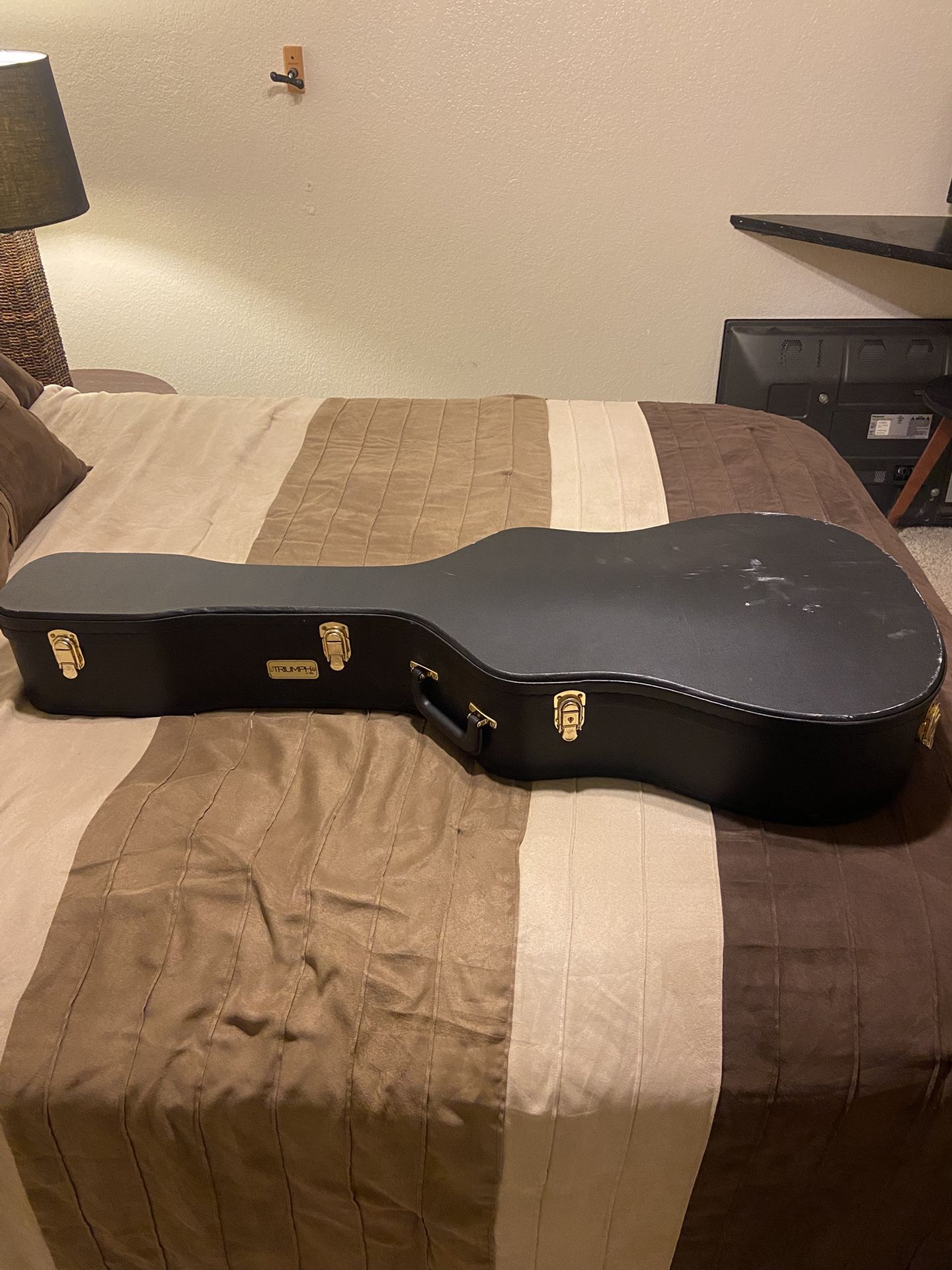 Acoustic Guitar Case
