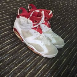 Jordan 6 Retro Alternate Hare (Size 13)