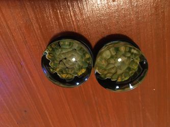 1” glass plugs for stretched ears