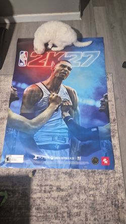 Very large posters video games