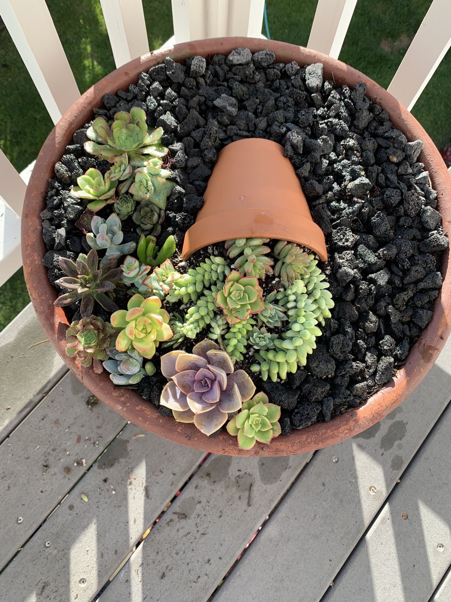 Decorative succulent pots