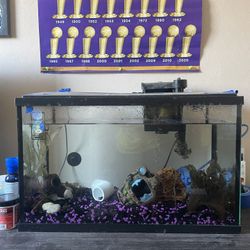 10 GALLON TOP FIN TANK