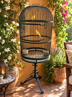 Antique Large Standing Vintage Bird Cage