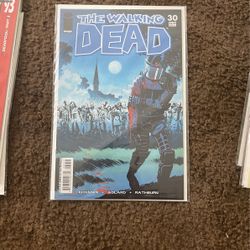 Walking Dead #30
