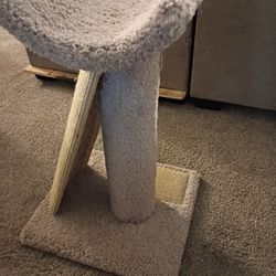 Cat Scratcher