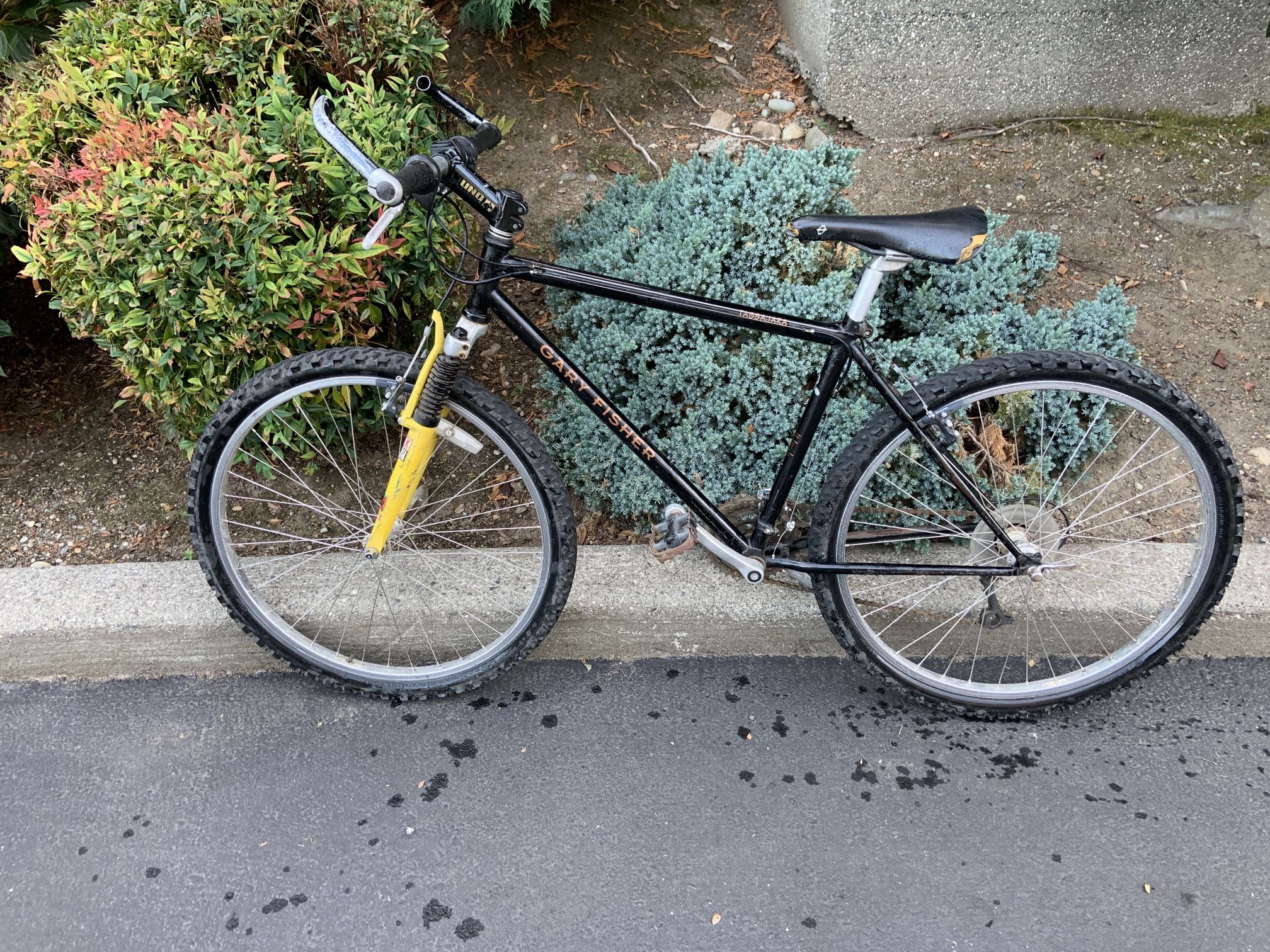 Kids Gary Fisher Bike