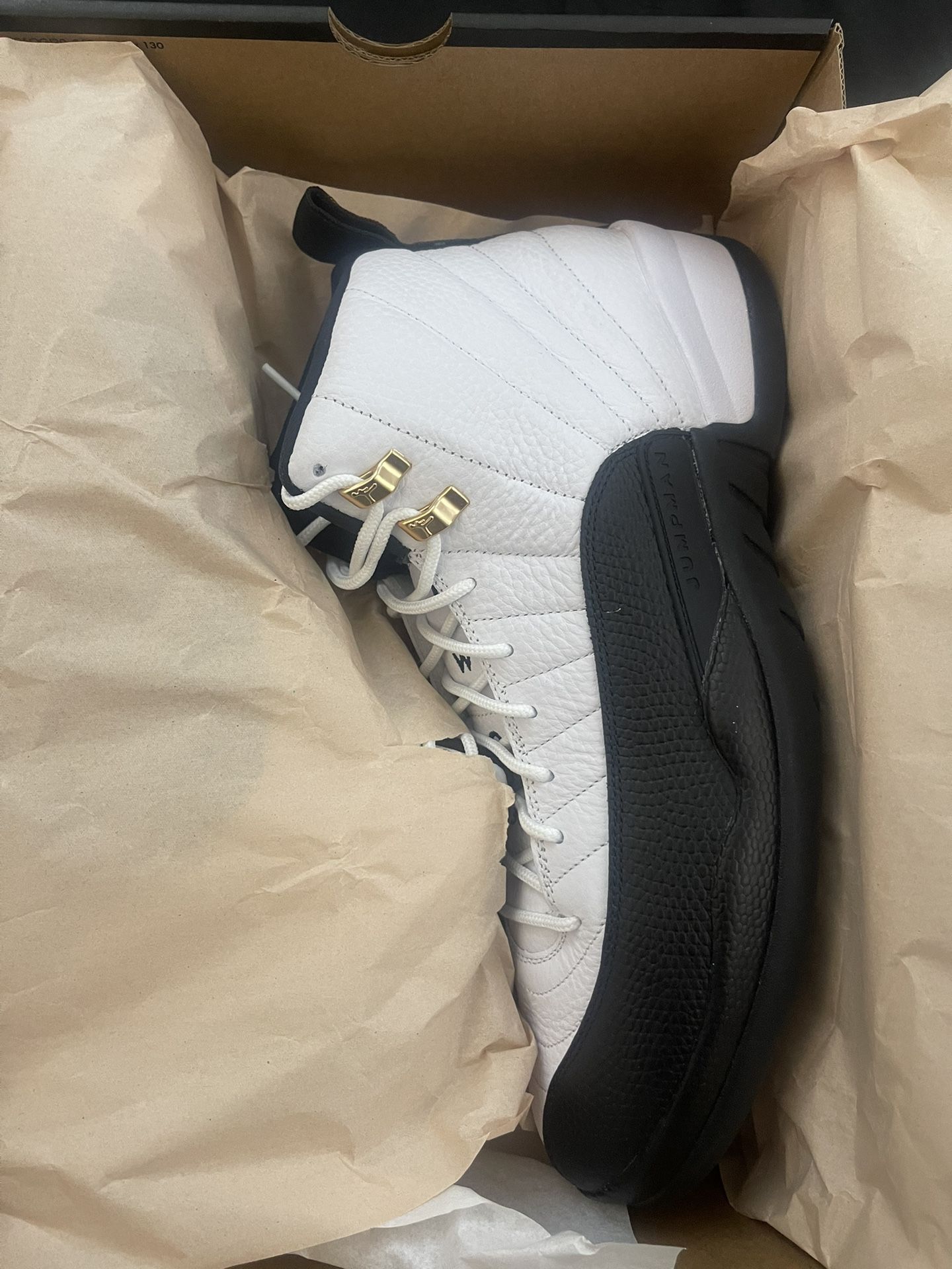 Air Jordan Retro 12 Size 13