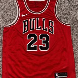 Michael Jordan Chicago Bulls Nike Icon Edition Swingman Jersey Size 2XL