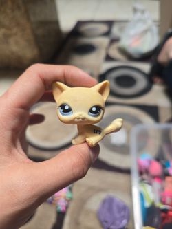 LPS #1005