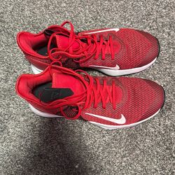 Red and black LeBrons