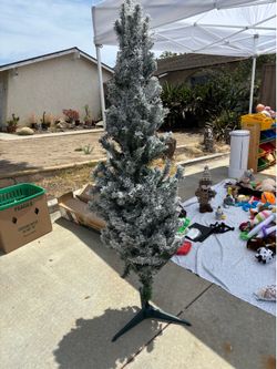 Christmas tree for sale