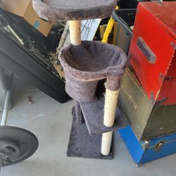 Cat Tower