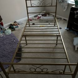 Free Twin Frame Gold 
