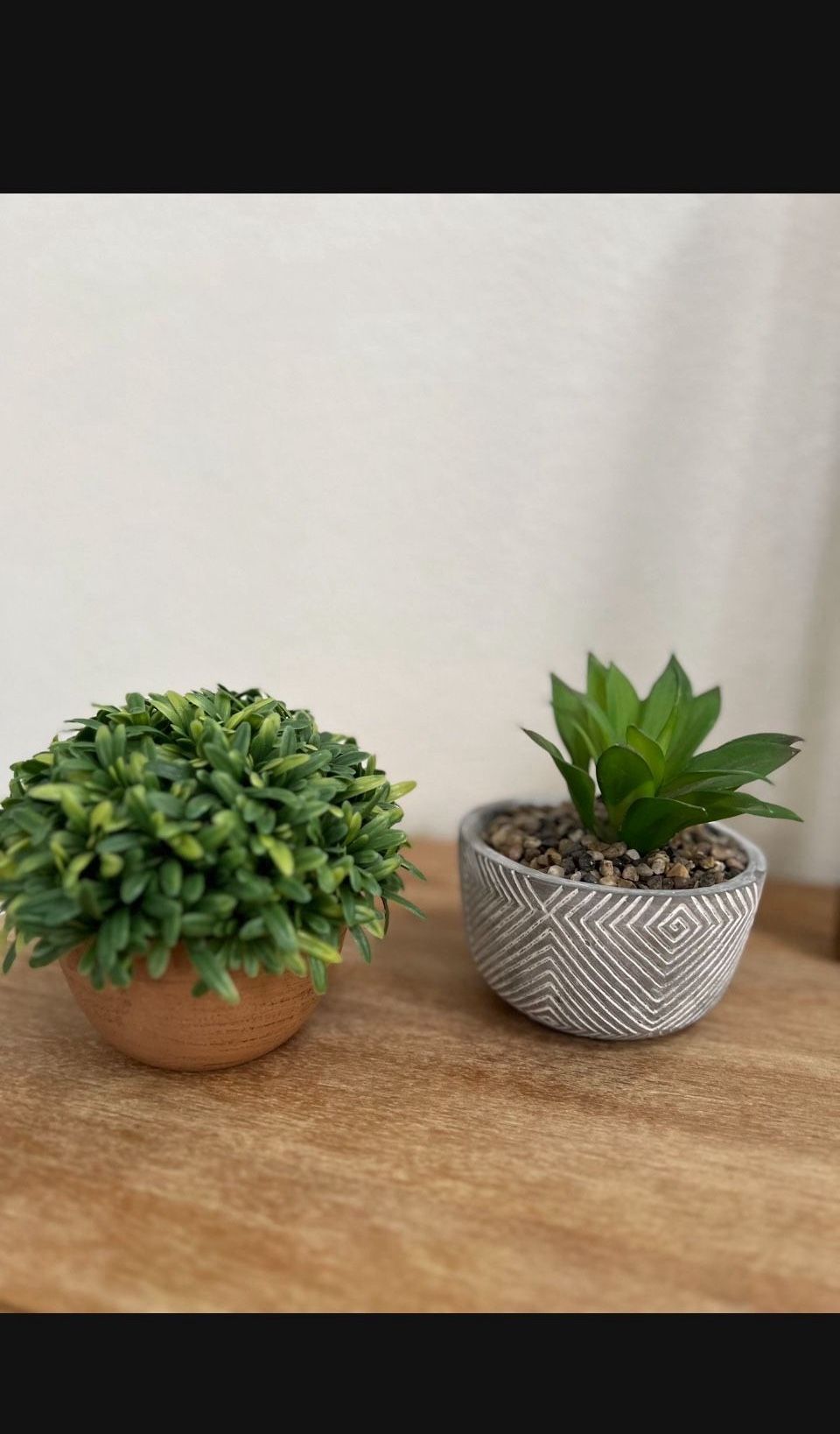 $3 Each OR $5 Both Faux Fake Plants Decor