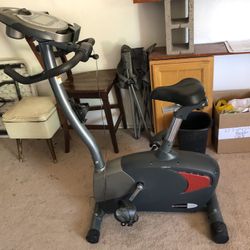 Schwinn 122/123 Upright Exercise Bike 
