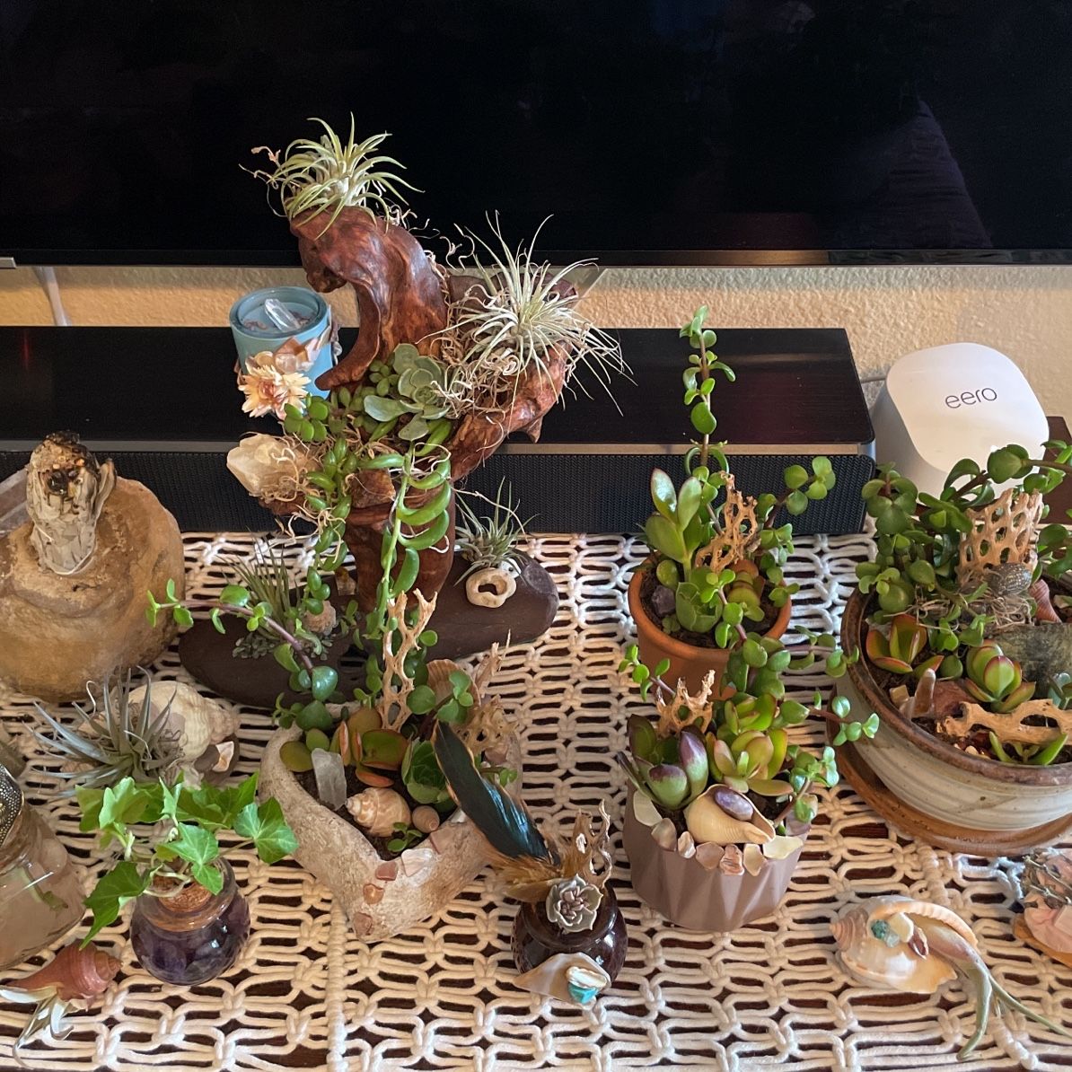 Boho, Earthy, Succulent And Plant Decor With Crystals