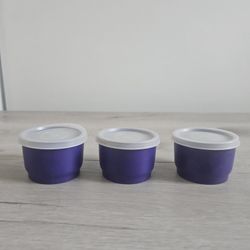 Tupperware Small Blue Containers w/ Lids
