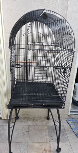 Bird Cage