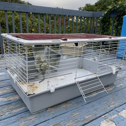 Rabbit Gage Just Need TLC 