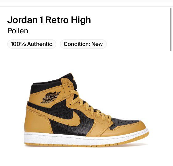 Jordan 1 Retro High Pollen Size 9