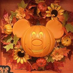 Disney Light Up Wreath