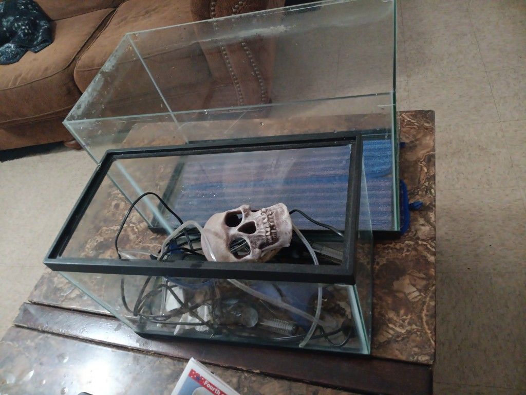 Fish Tanks