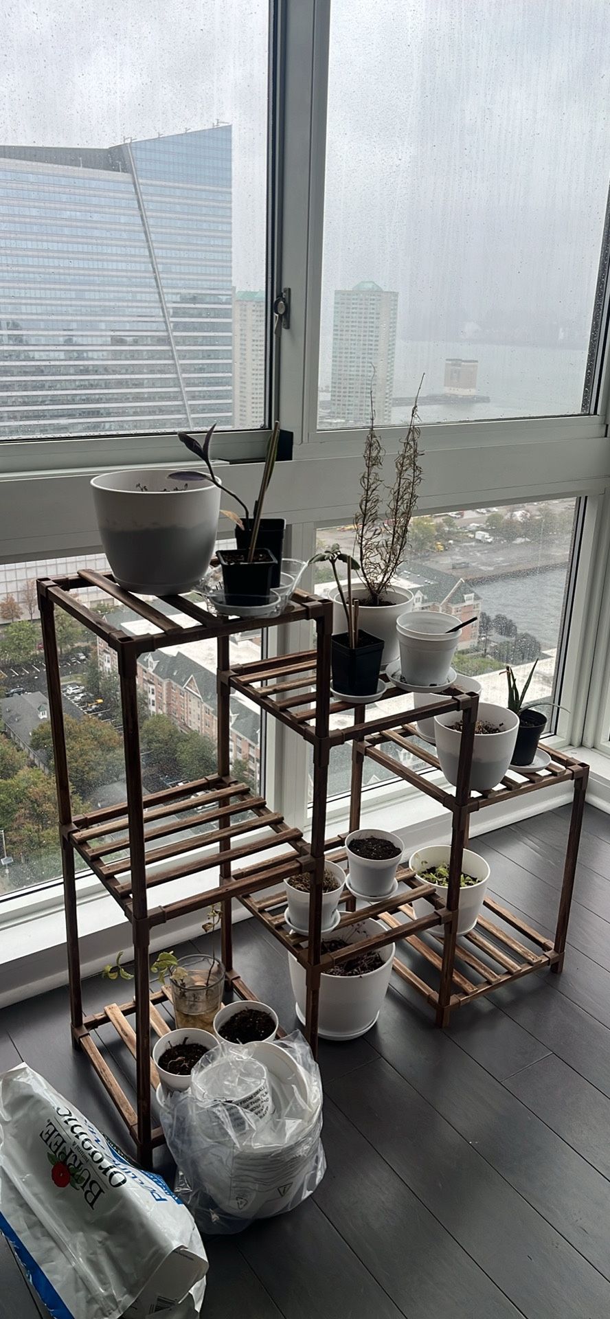 Baby Plants, Pots, Soil, Rack & Packet Of Seeds