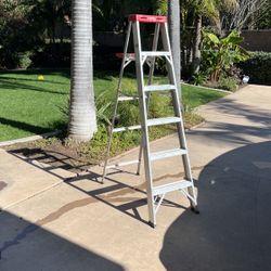 6 Foot Ladder 