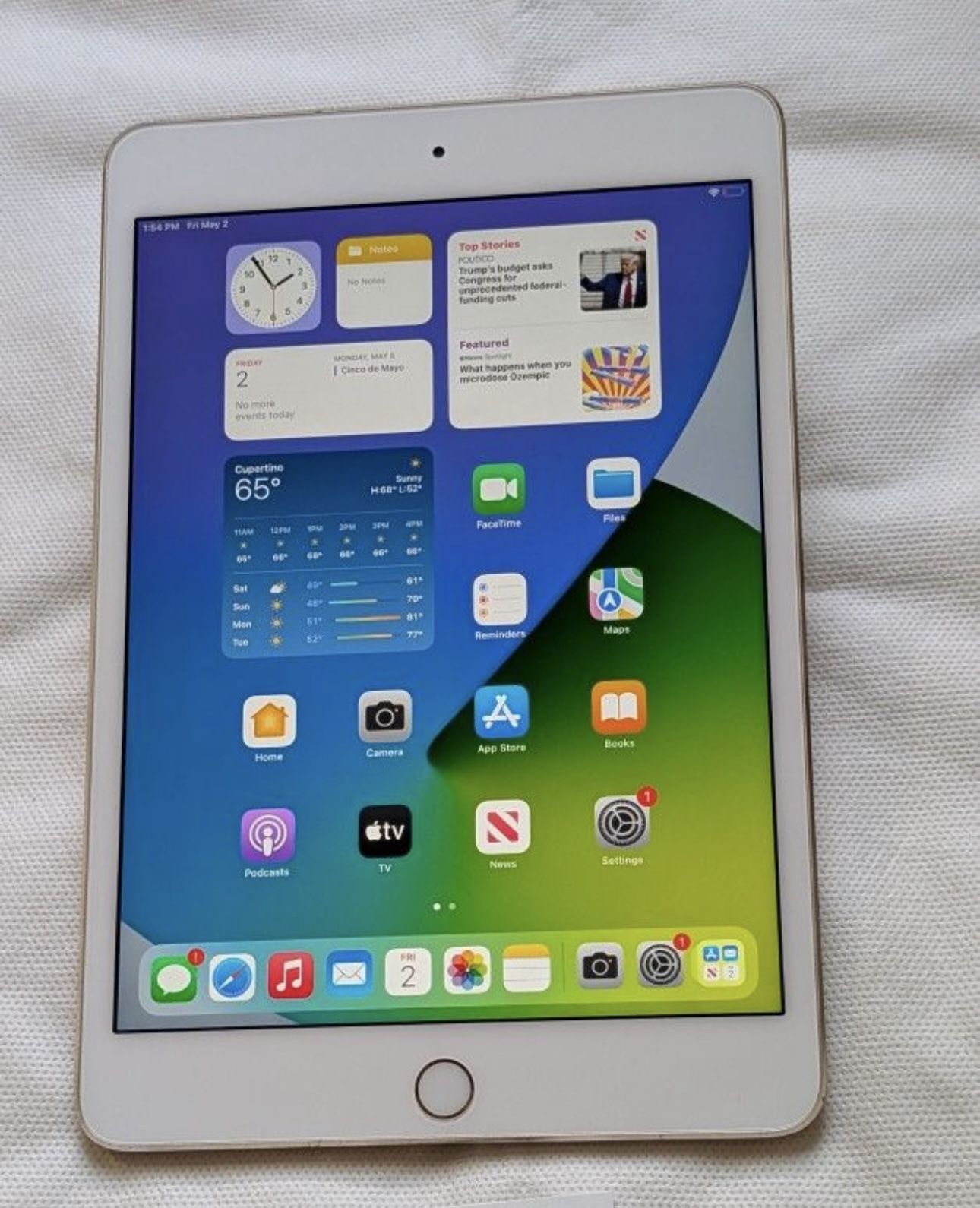 iPad Mini