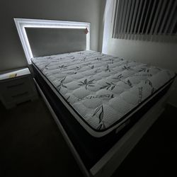 Queen Bed Built-In LED Lights  /  Mattress Included.     ⚡️   Cama Queen Size  Con Luz Led. / Colchon Incluido 