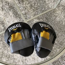 Boxing Pads 