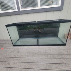 5FT LONG FISH TANK 