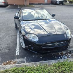 07 Jaguar 