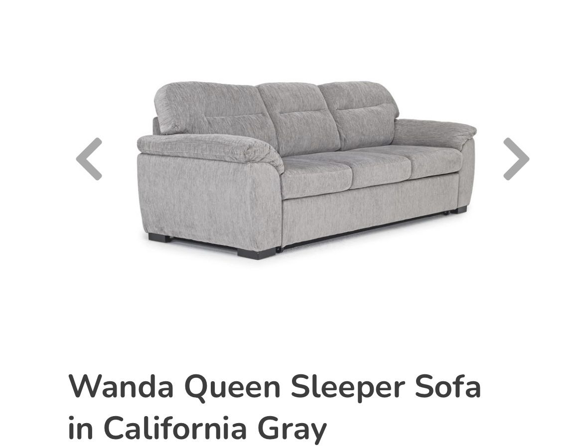 Sleeper Sofa (Best Offer)