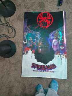 Miles morales spiderman poster