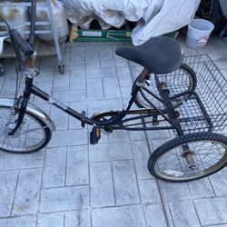 3 Wheel Bike