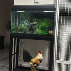 30 Gallon Tank