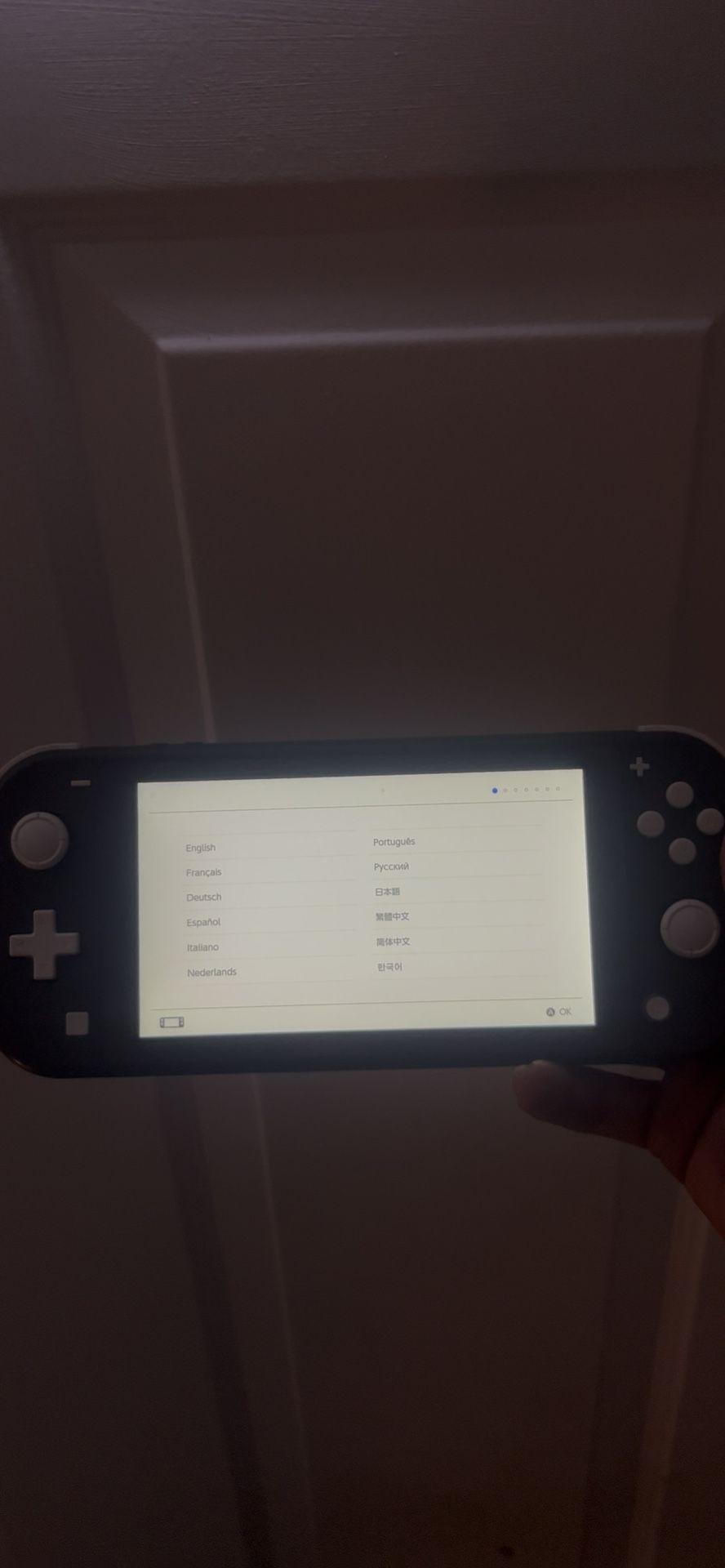 Nintendo Switch Lite + Case