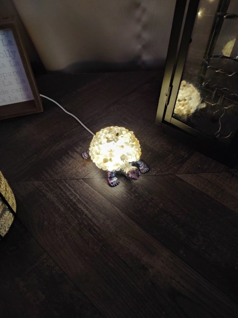 Crystal Light Up Turtle