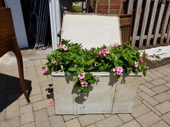 Love this vintage trunk ..it is metal..great for the garden ..or side table...with plant included