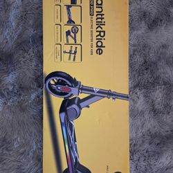 Fanttik Ride Electric Scooter 