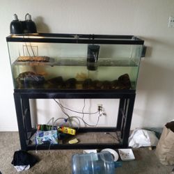 Fish Tank