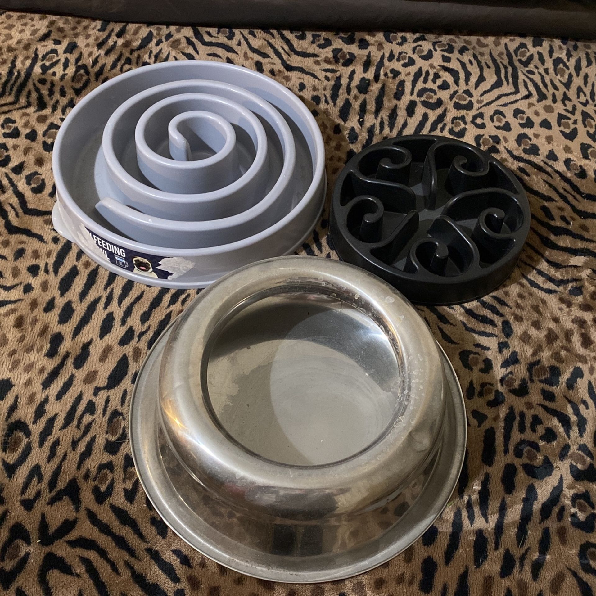 Dog Bowls