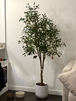 6FT Tall Fake Olive Tree