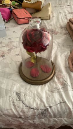 Rose in a glass container