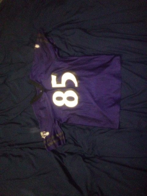 NFL Raven Jersey🔥