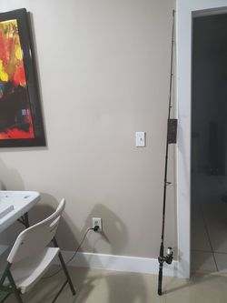 Fishing rod and reel combo